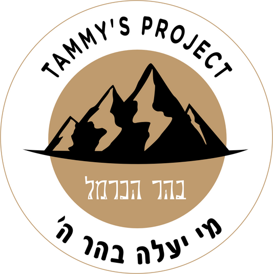 <iframe src="https://player.vimeo.com/video/335731912" width="640" height="480" frameborder="0" allow="autoplay; fullscreen" allowfullscreen></iframe>